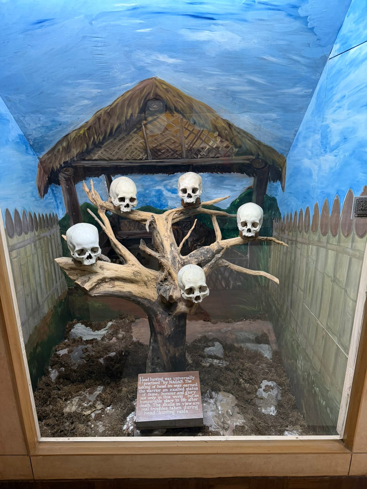 WhatsApp Image 2025-12-07 at 6.58.14 PM (1)