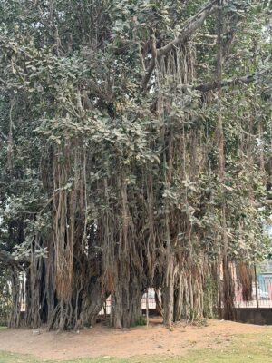 WhatsApp Image 2026-02-02 at 2.04.30 PM (1)