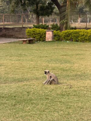 WhatsApp Image 2026-02-02 at 2.04.30 PM