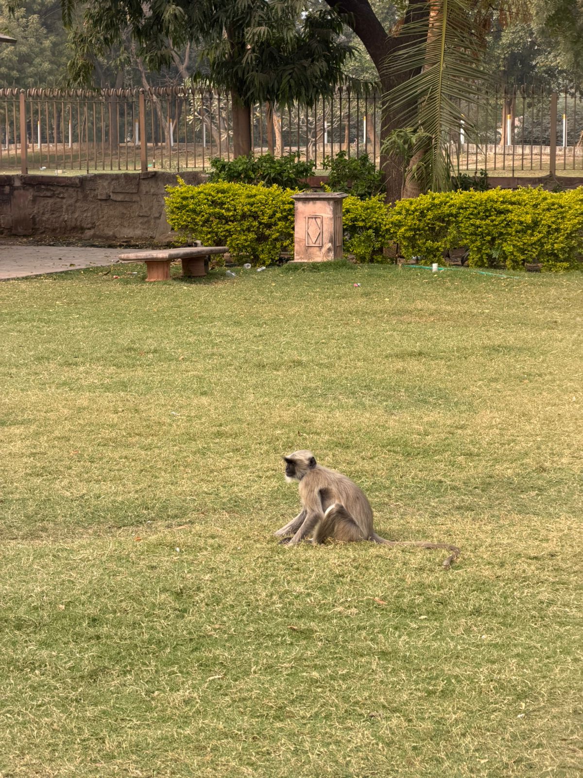 WhatsApp Image 2026-02-02 at 2.04.30 PM