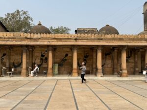 WhatsApp Image 2026-02-04 at 8.39.00 PM