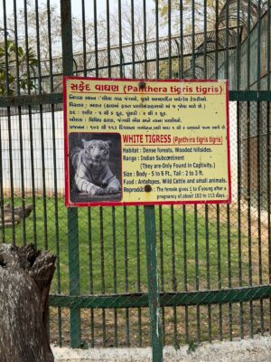 WhatsApp Image 2026-02-05 at 12.00.03 PM