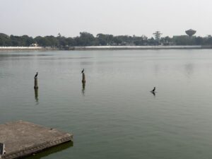 WhatsApp Image 2026-02-05 at 12.00.04 PM (1)