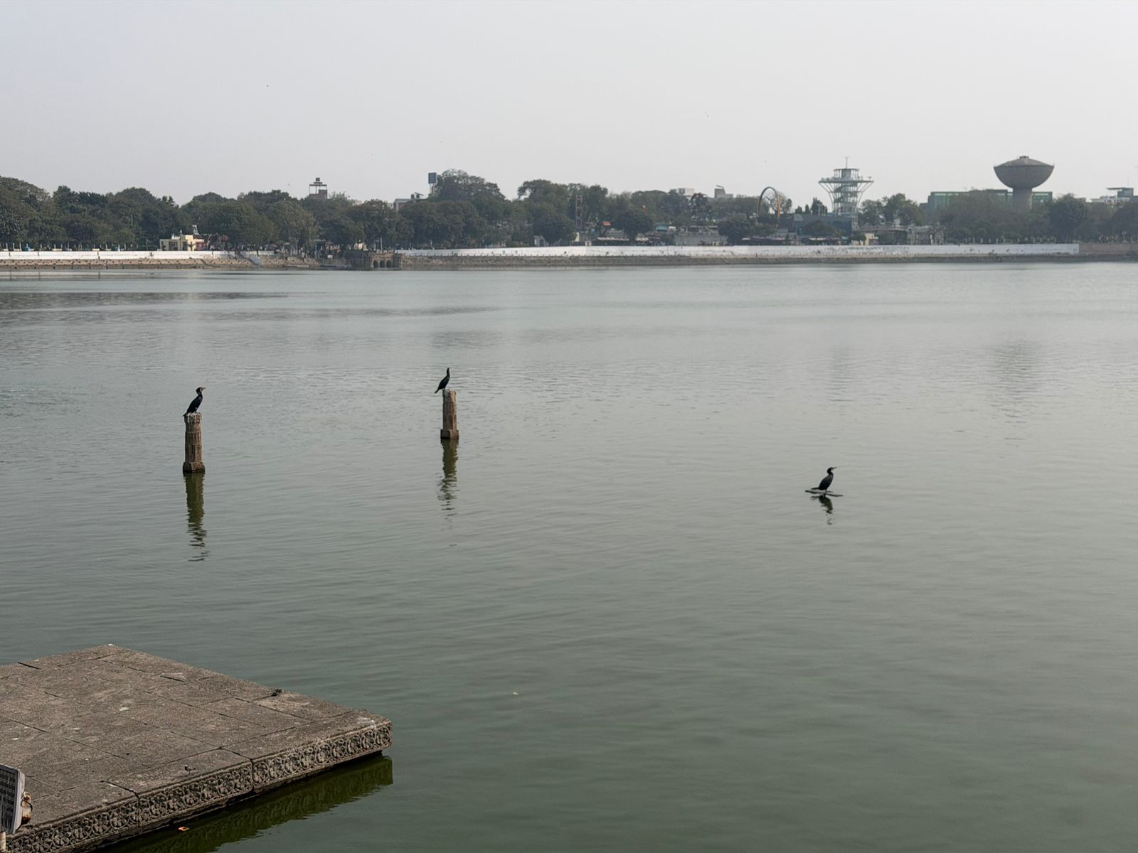 WhatsApp Image 2026-02-05 at 12.00.04 PM (1)