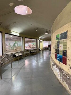 WhatsApp Image 2026-02-05 at 12.00.07 PM