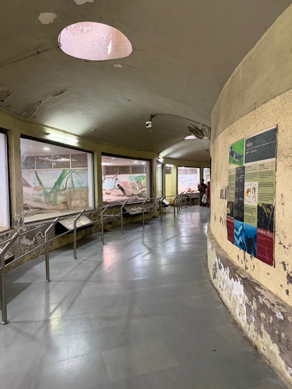 WhatsApp Image 2026-02-05 at 12.00.07 PM