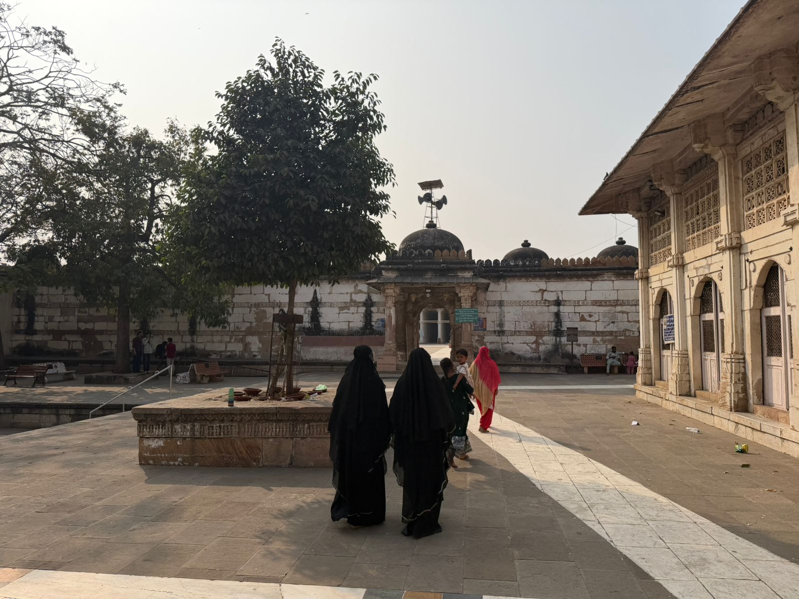 WhatsApp Image 2026-02-05 at 8.27.29 PM