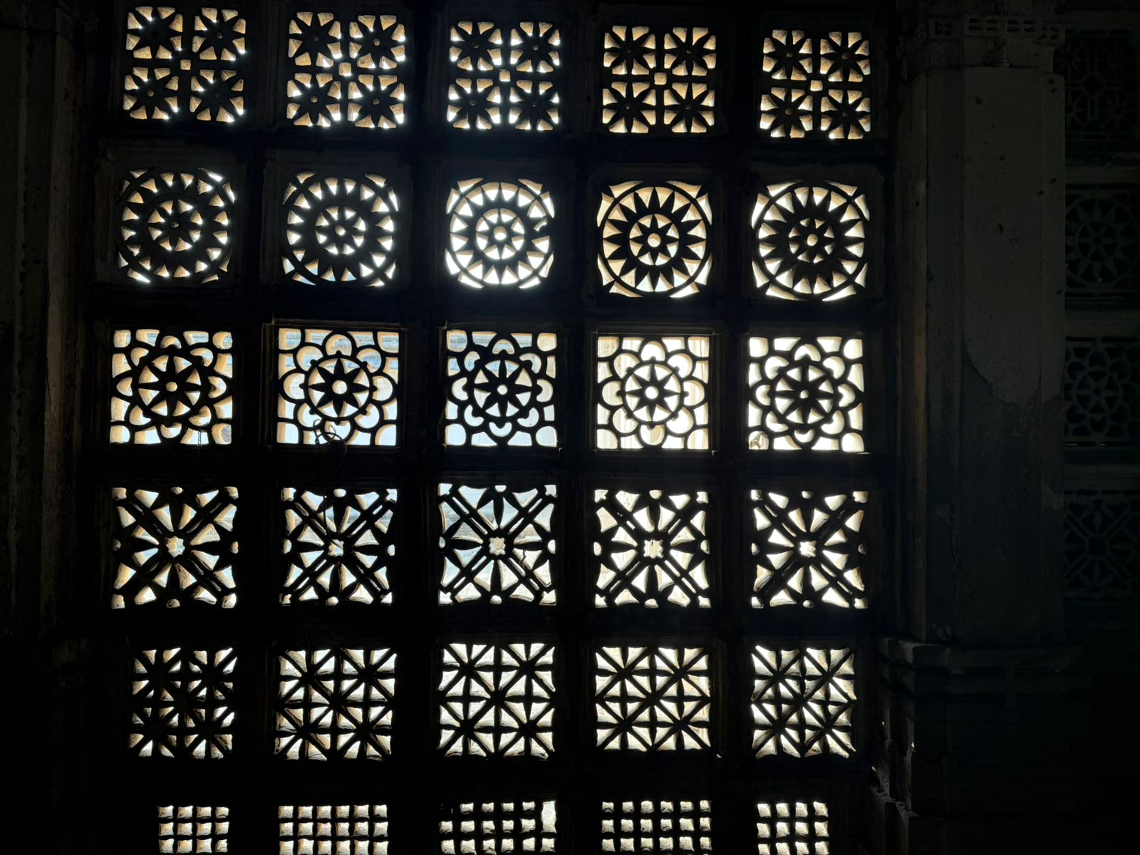 WhatsApp Image 2026-02-05 at 8.27.35 PM