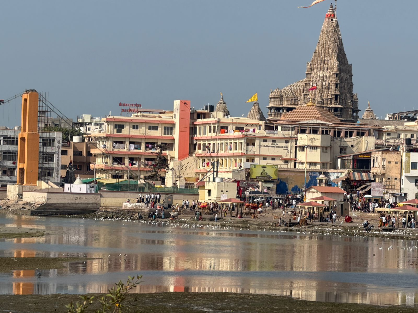 WhatsApp Image 2026-02-07 at 5.52.20 PM (1)