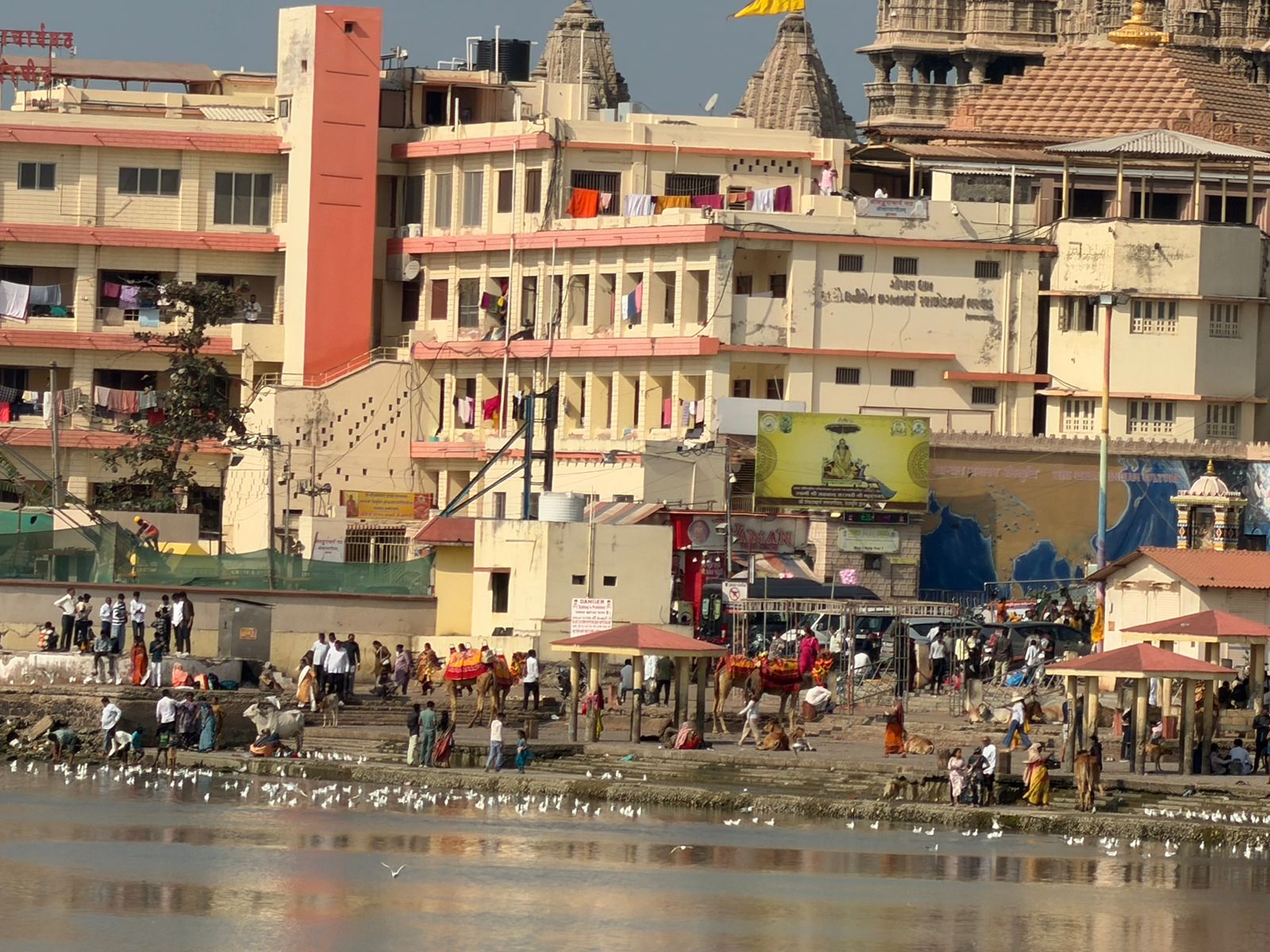 WhatsApp Image 2026-02-07 at 5.52.20 PM