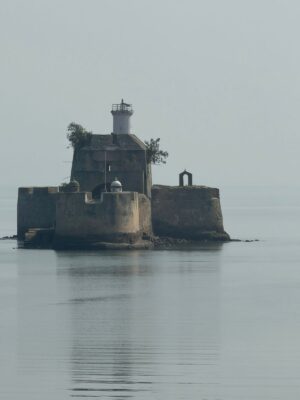 WhatsApp Image 2026-02-11 at 12.37.50 PM (1)