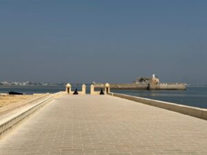 WhatsApp Image 2026-02-11 at 4.01.23 PM (2)