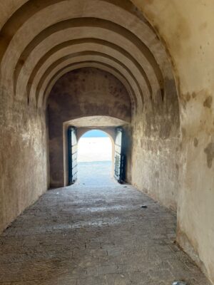 WhatsApp Image 2026-02-11 at 4.01.26 PM