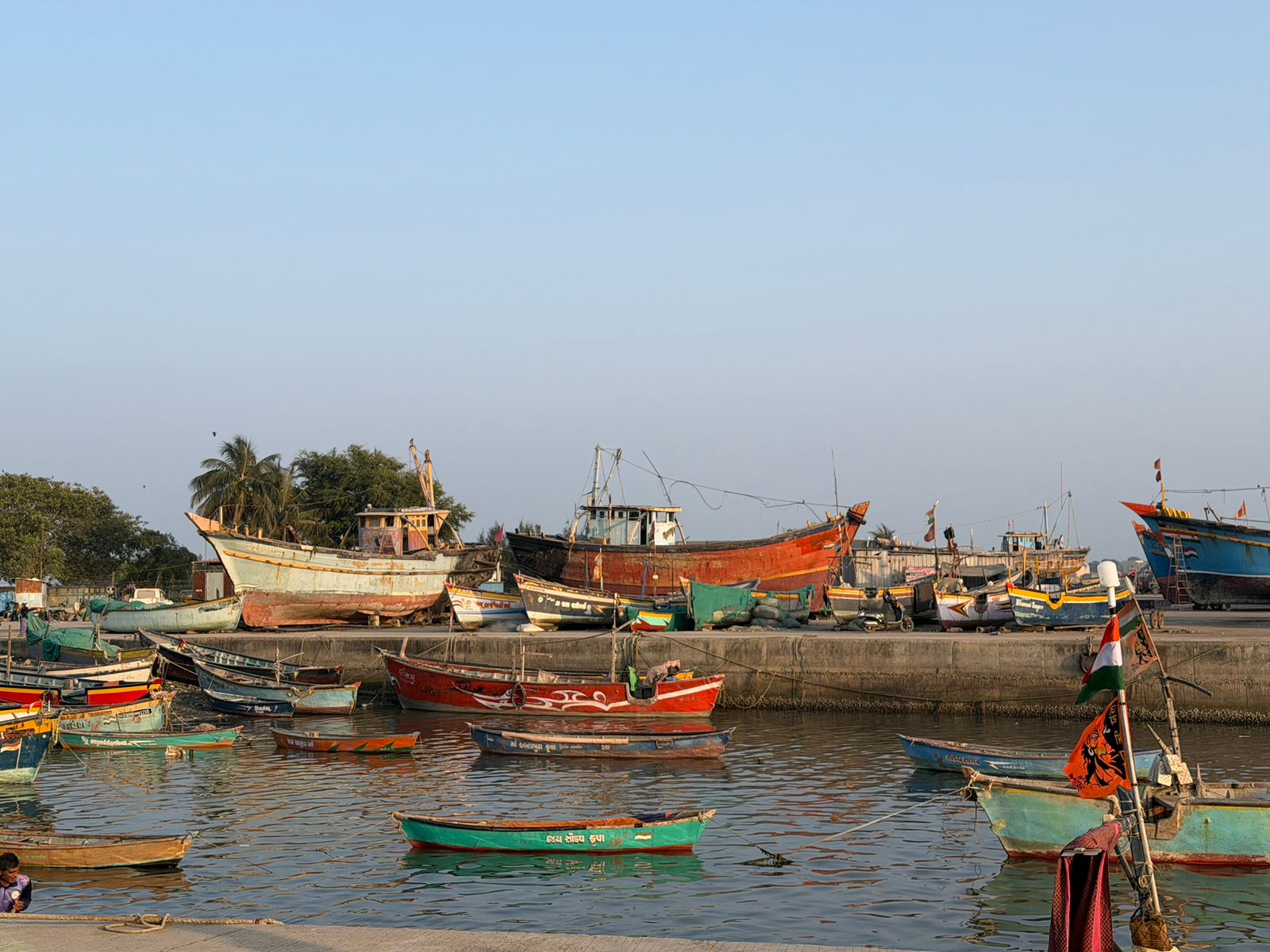 WhatsApp Image 2026-02-11 at 4.51.18 PM