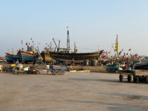 WhatsApp Image 2026-02-11 at 4.51.19 PM