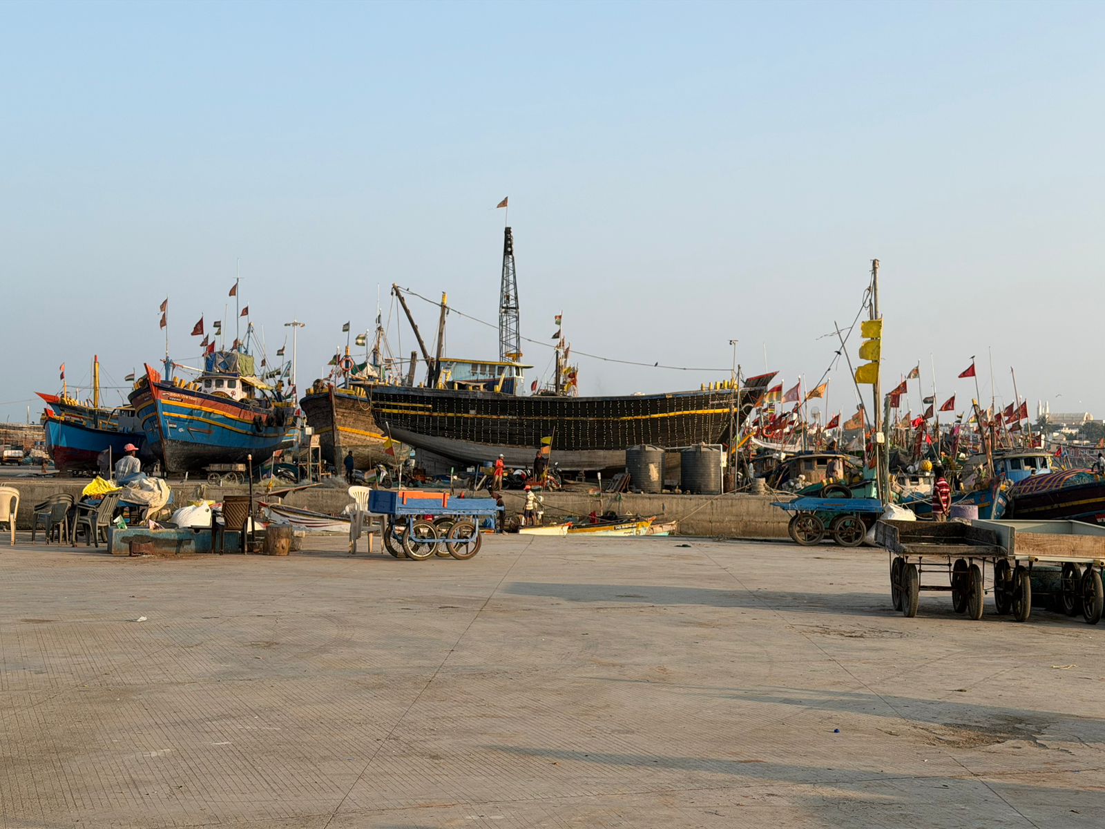 WhatsApp Image 2026-02-11 at 4.51.19 PM