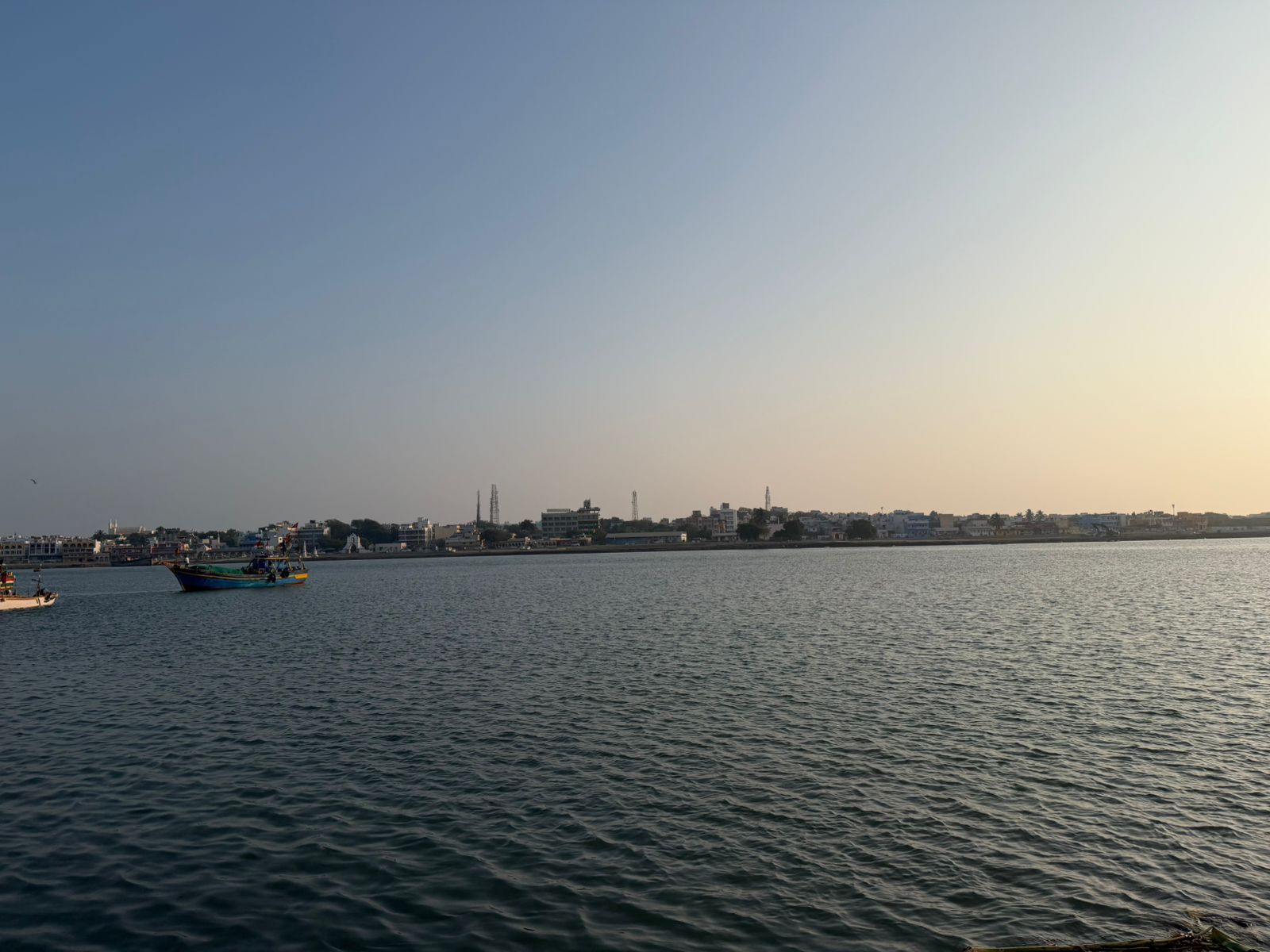 WhatsApp Image 2026-02-11 at 4.51.21 PM