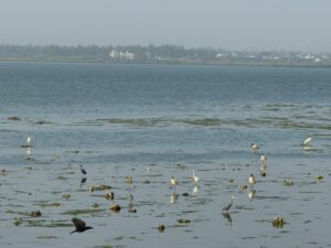 WhatsApp Image 2026-02-11 at 4.51.22 PM (1)