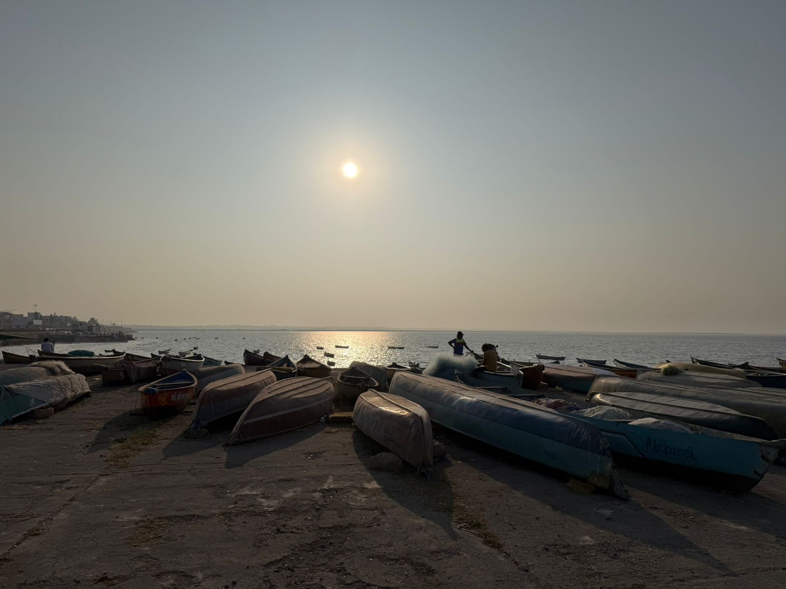 WhatsApp Image 2026-02-11 at 4.51.22 PM