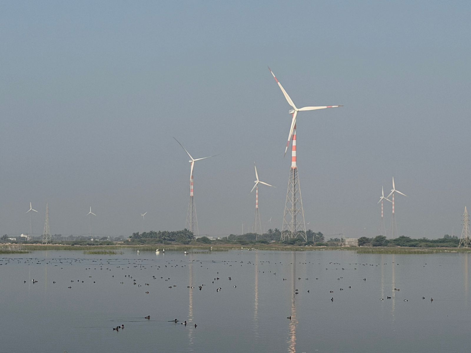 WhatsApp Image 2026-02-11 at 5.42.33 PM