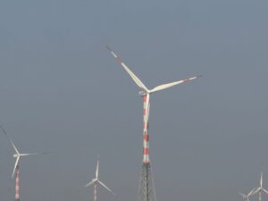 WhatsApp Image 2026-02-11 at 5.42.34 PM (1)