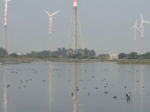 WhatsApp Image 2026-02-11 at 5.42.35 PM