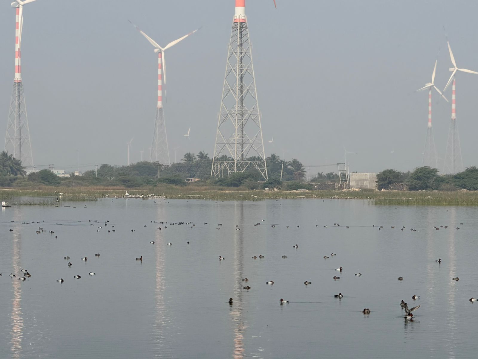 WhatsApp Image 2026-02-11 at 5.42.35 PM