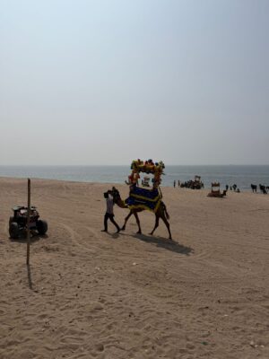 WhatsApp Image 2026-02-13 at 11.19.13 AM