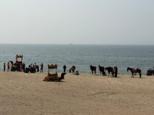 WhatsApp Image 2026-02-13 at 11.19.15 AM