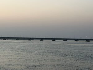 WhatsApp Image 2026-02-13 at 12.32.28 PM