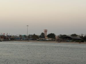 WhatsApp Image 2026-02-13 at 12.32.31 PM