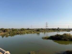 WhatsApp Image 2026-02-16 at 12.25.18 AM (1)