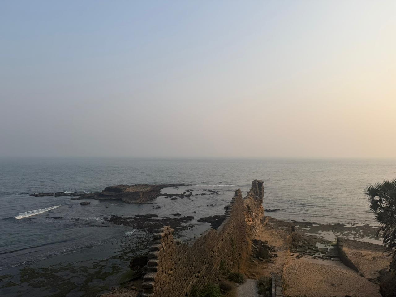 WhatsApp Image 2026-02-17 at 5.42.28 PM