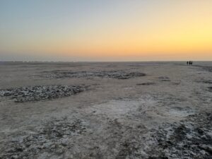 WhatsApp Image 2026-02-17 at 7.49.28 PM (3)