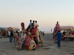 WhatsApp Image 2026-02-18 at 6.36.25 PM