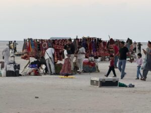 WhatsApp Image 2026-02-18 at 6.36.41 PM