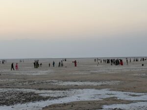 WhatsApp Image 2026-02-18 at 6.38.23 PM