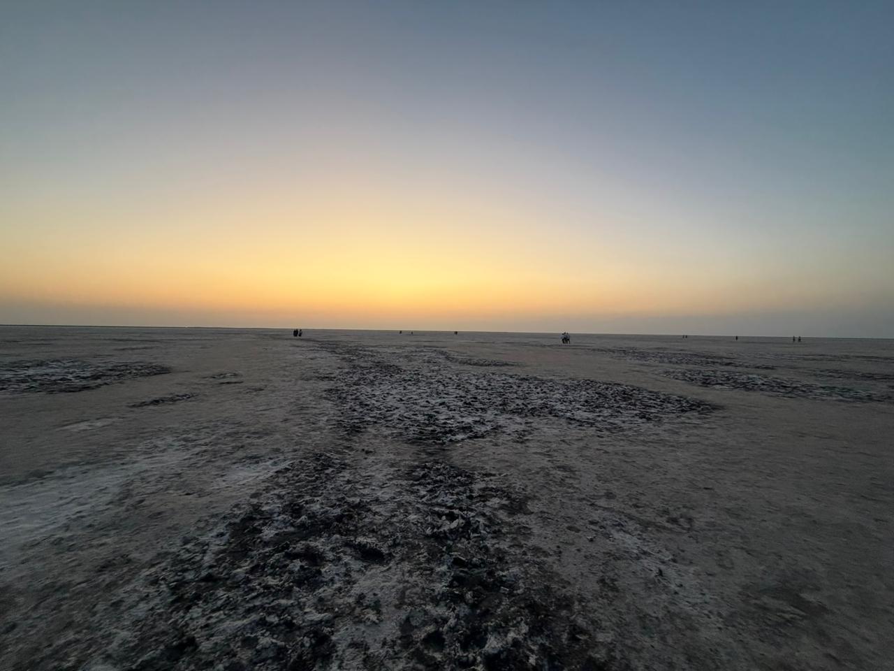 WhatsApp Image 2026-02-18 at 6.38.28 PM