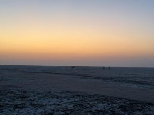 WhatsApp Image 2026-02-18 at 6.38.35 PM