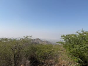 WhatsApp Image 2026-02-22 at 12.29.19 PM