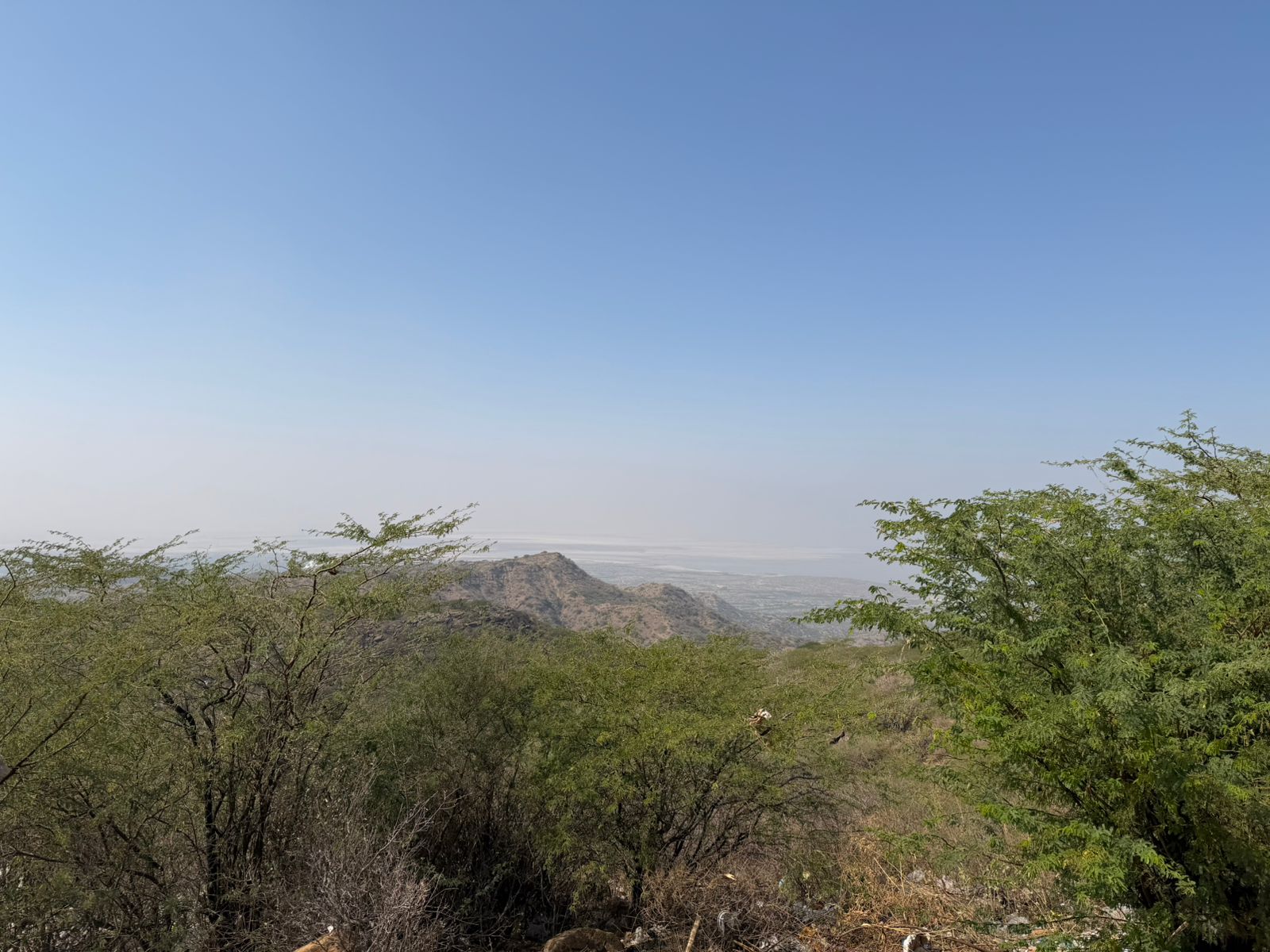 WhatsApp Image 2026-02-22 at 12.29.19 PM