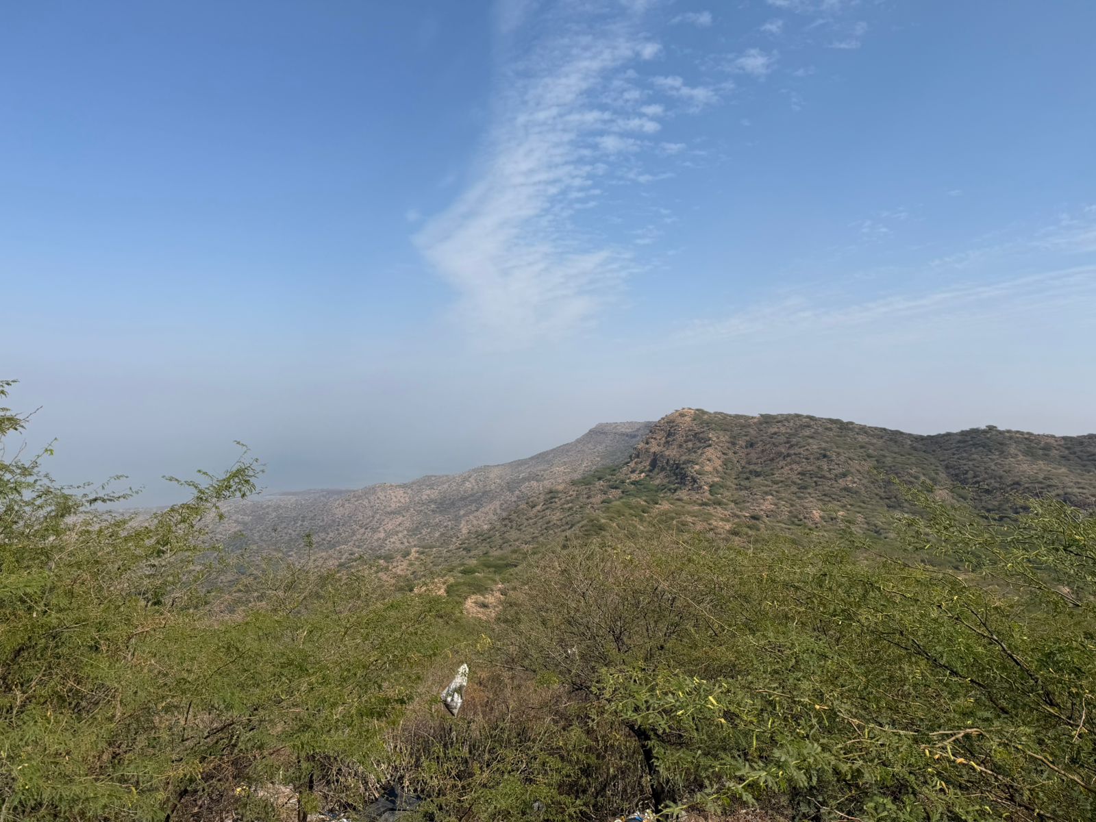 WhatsApp Image 2026-02-22 at 12.29.22 PM (1)