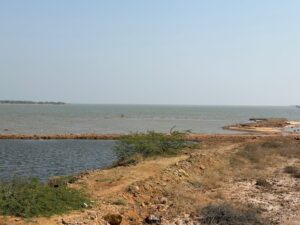 WhatsApp Image 2026-02-22 at 7.14.21 PM