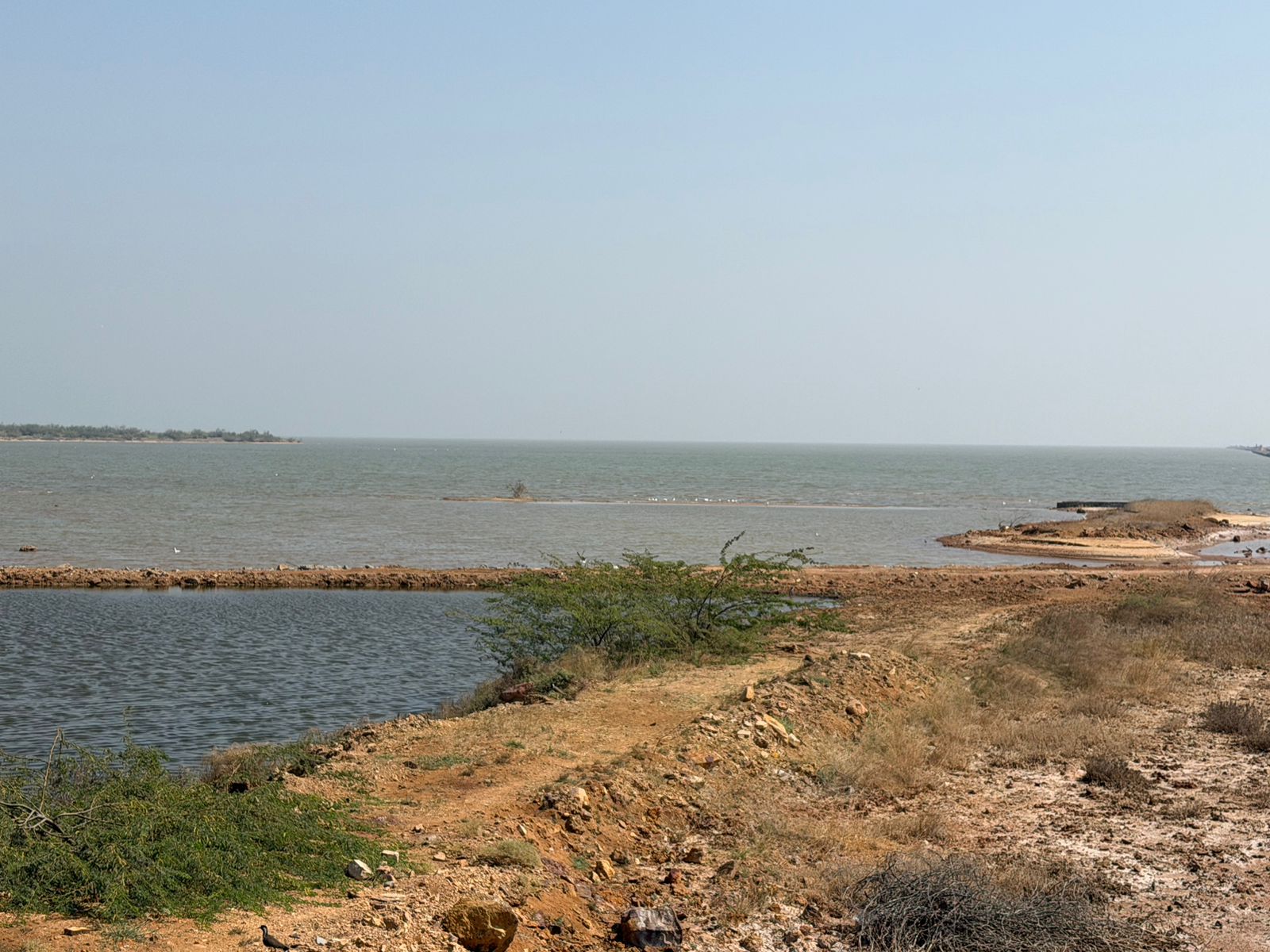 WhatsApp Image 2026-02-22 at 7.14.21 PM