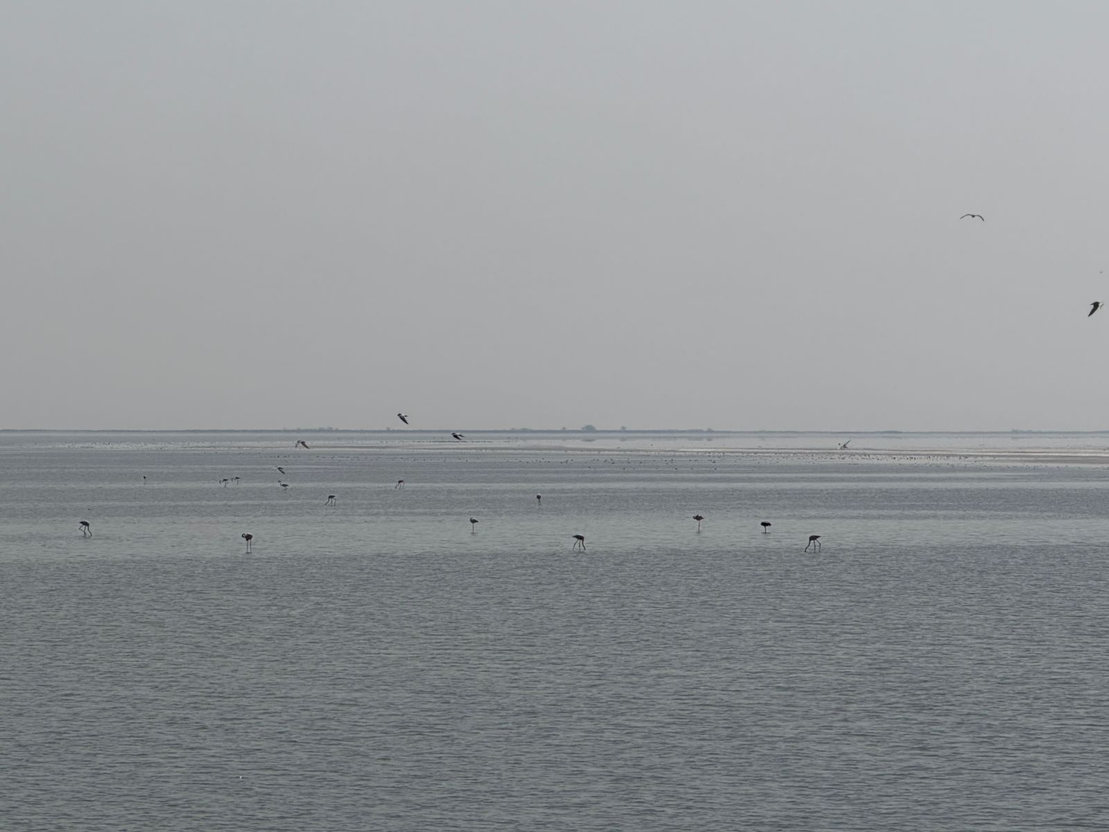 WhatsApp Image 2026-02-22 at 7.14.22 PM