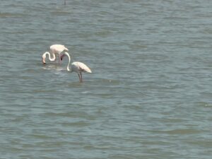 WhatsApp Image 2026-02-22 at 7.14.23 PM