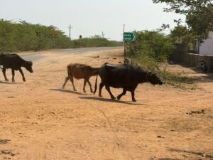 WhatsApp Image 2026-02-23 at 4.16.49 PM