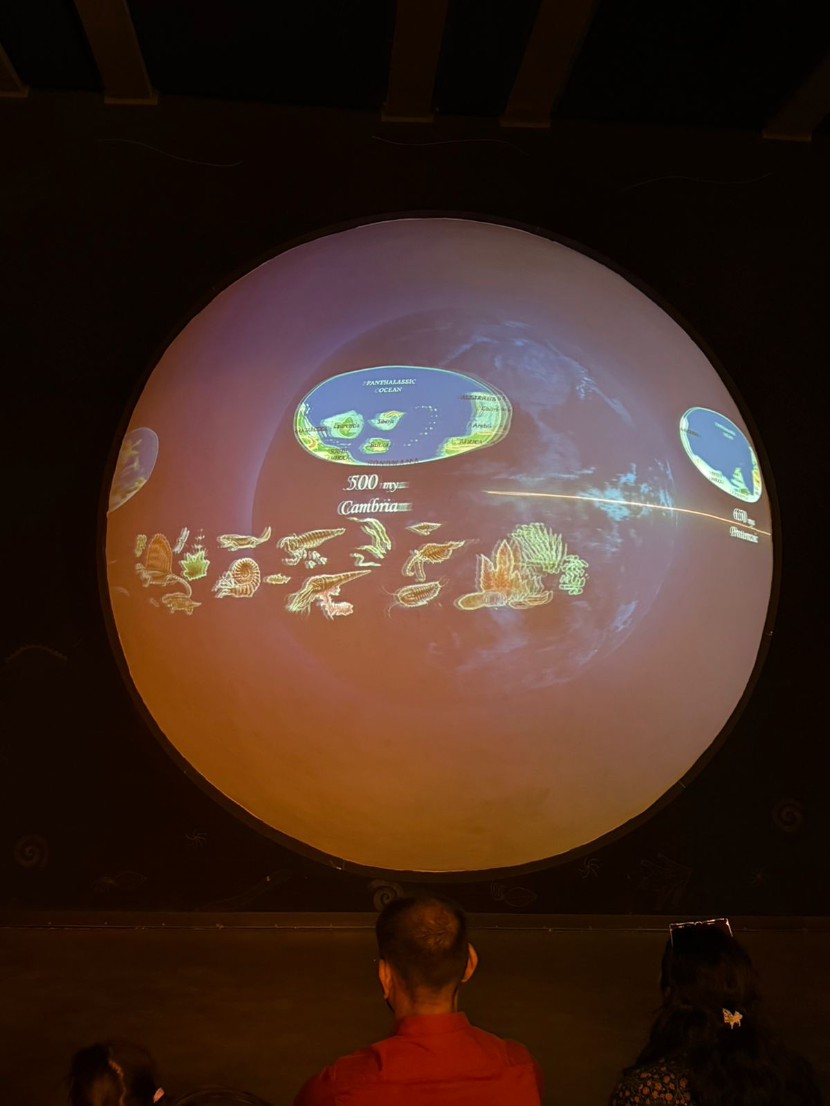 WhatsApp Image 2026-02-23 at 7.28.35 PM