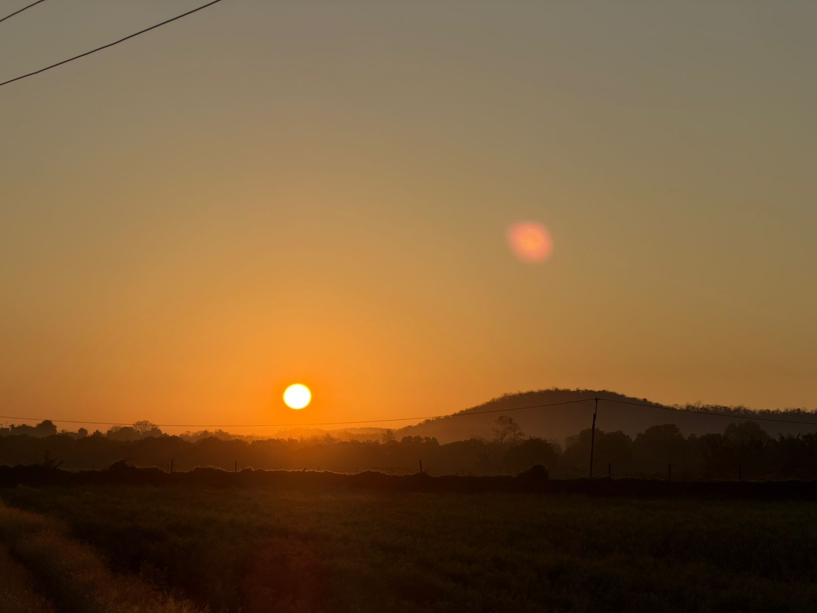 WhatsApp Image 2026-02-25 at 1.52.35 PM (1)