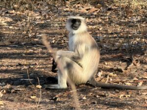 WhatsApp Image 2026-02-25 at 1.52.37 PM